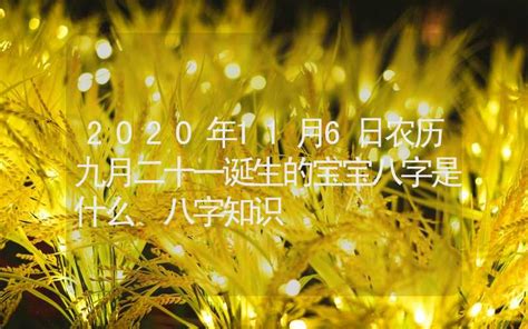 2020年11月宝宝八字取名字大全免费,第3张